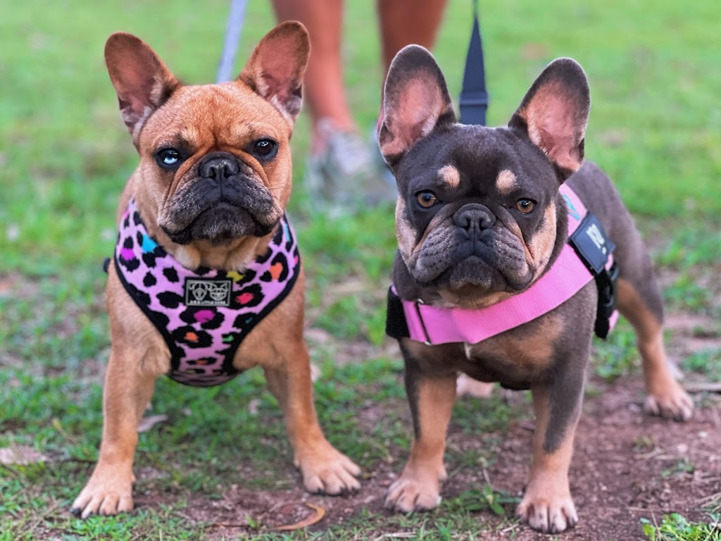 Barn House Co. | Lakes Dr, Laidley Heights QLD 4341, Australia | Phone: 0407 654 039