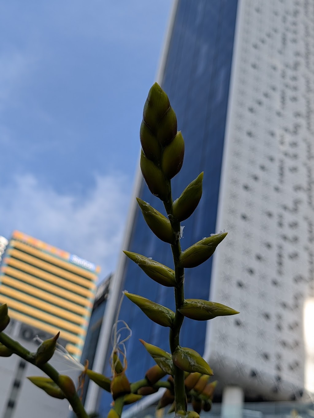 Live the 3PS method | 509 Wallacedale-Byaduk Rd, Wallacedale VIC 3303, Australia | Phone: 0428 647 848