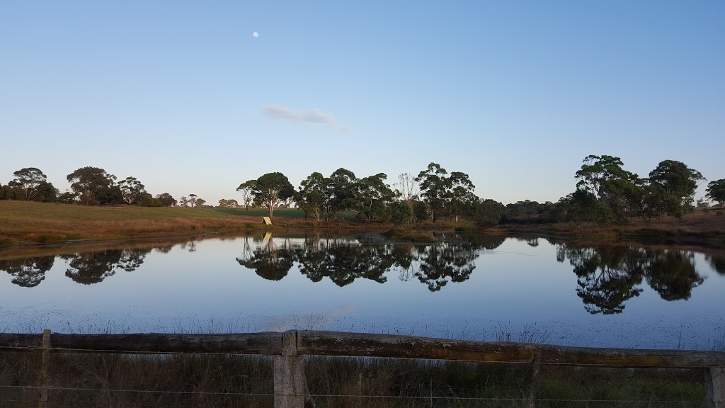 Cadenza Boer Goat Stud | 26 Sibbald Ln, Stratford VIC 3862, Australia | Phone: 0429 661 369