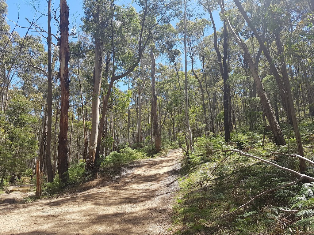 Lerderderg State Park | park | Victoria, Australia