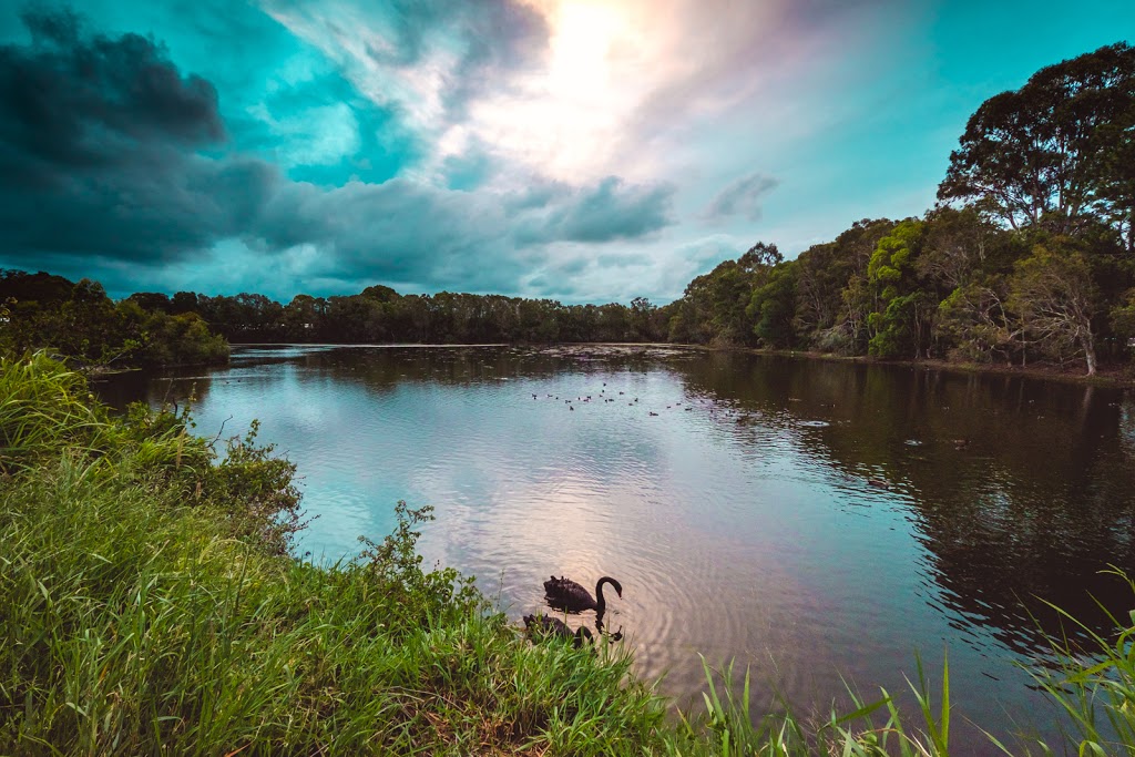 Black Swan Lake | park | 3/6/8 Gold Market Dr, Bundall QLD 4217, Australia