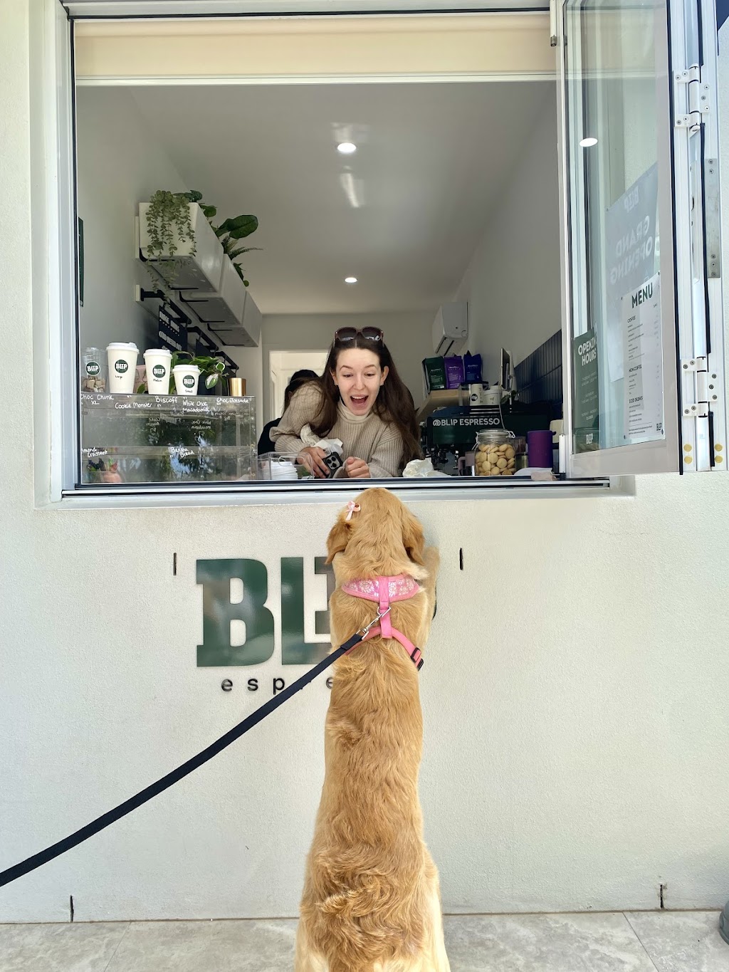 Blip Espresso | 9 Jingeri St, Redland Bay QLD 4165, Australia | Phone: 0420 894 118