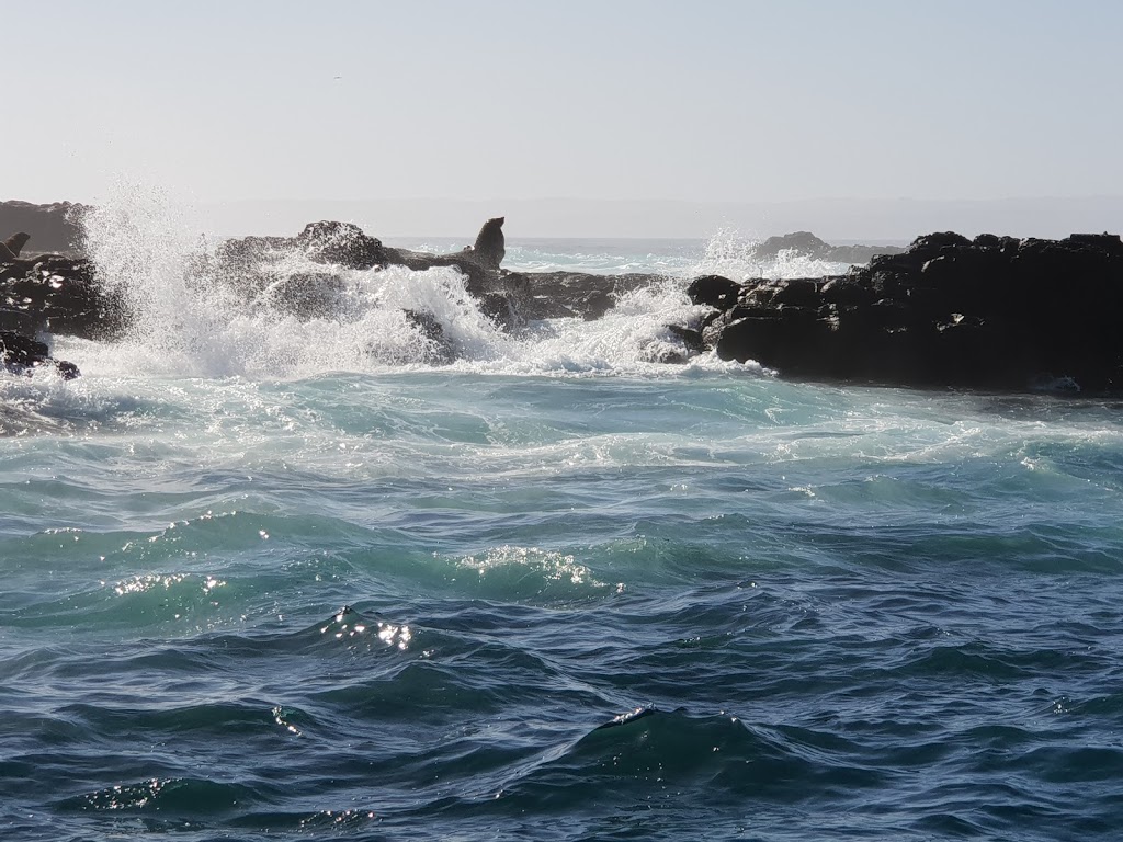 Seal Rocks | Victoria, Australia