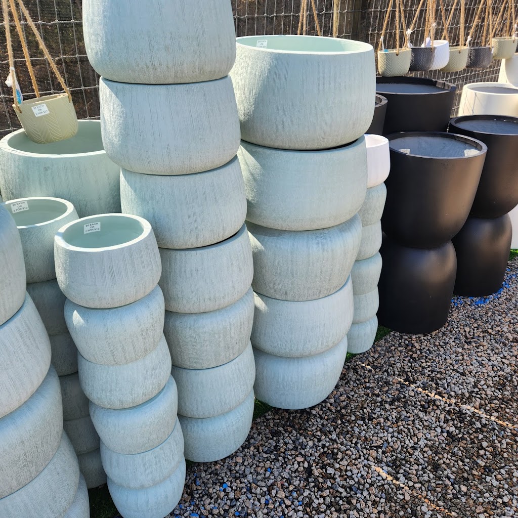 The Plant Guy | 20 Cross Rd, Devon Meadows VIC 3977, Australia | Phone: 0457 081 505