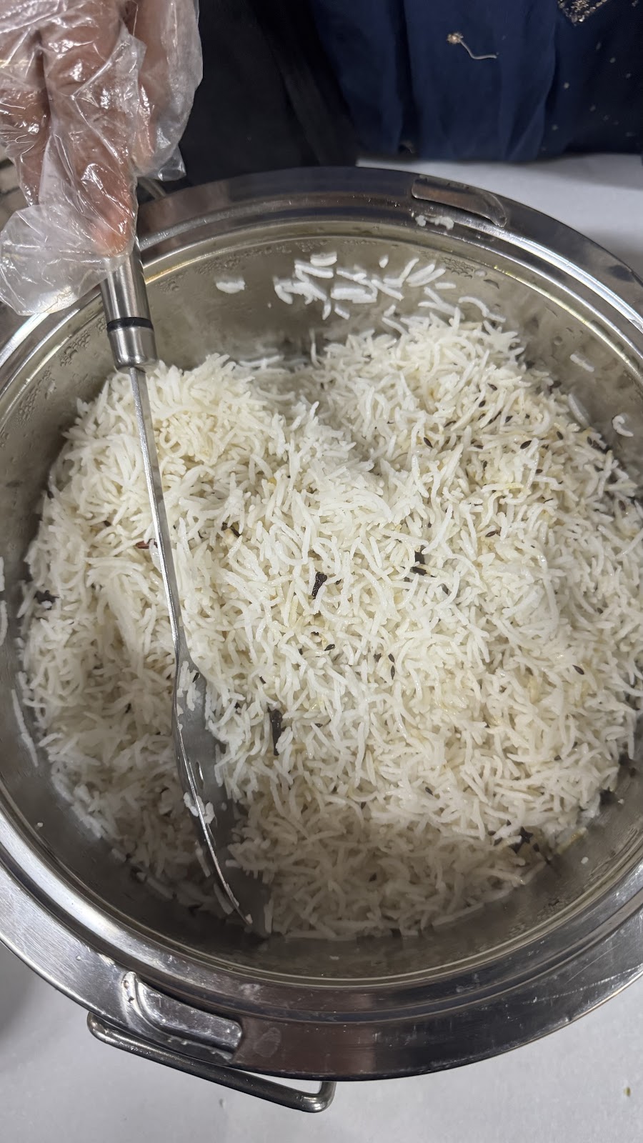 Satvik Food & Catering Sydney | 222 Hamilton St, Riverstone NSW 2765, Australia | Phone: 0422 886 002