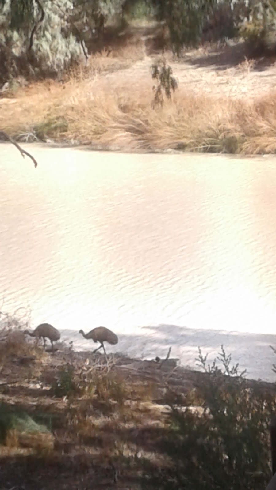 Wilcannia Multi Purpose Service | 14 Ross St, Wilcannia NSW 2836, Australia | Phone: (08) 8083 8700