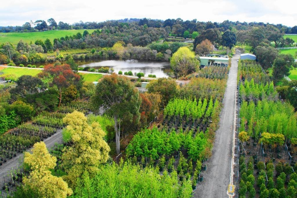 Speciality Trees |  | 1060 Wellington Rd, Narre Warren East VIC 3804, Australia | 0395542000 OR +61 3 9554 2000