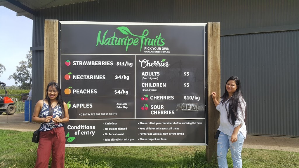 Naturipe Fruits | store | 638 Bacchus Marsh Rd, Bacchus Marsh VIC 3340, Australia | 0419340363 OR +61 419 340 363