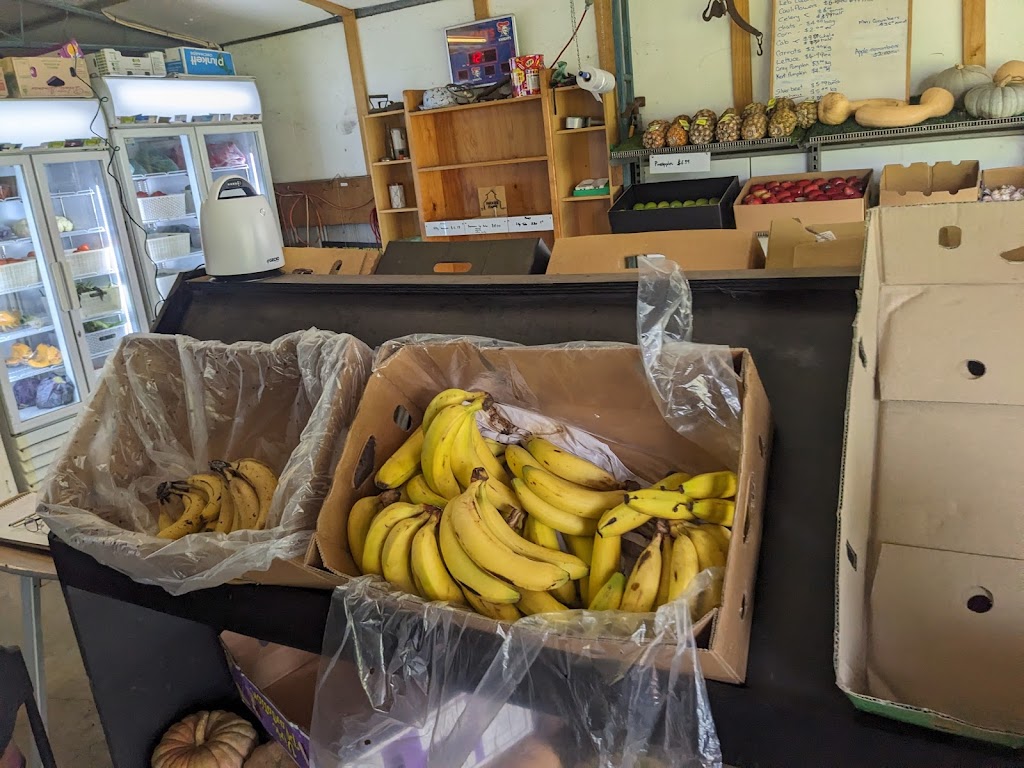Stinkys Fruit and Veg Shop | 50 Aberdeen St, Muswellbrook NSW 2333, Australia | Phone: 0457 506 905
