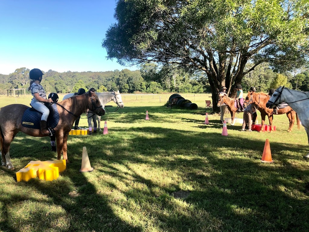 Equine Sense | campground | 32 Dicksons Rd, Jilliby NSW 2259, Australia | 0411871063 OR +61 411 871 063