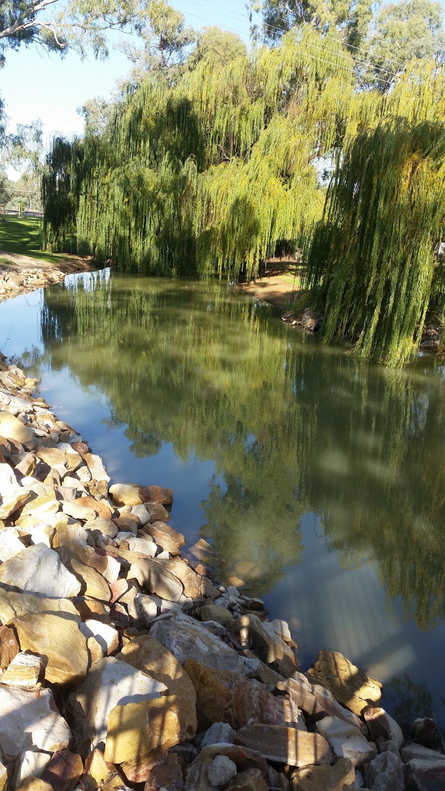 The Bert Dix Memorial Park | Lock 5 Rd, Paringa SA 5340, Australia