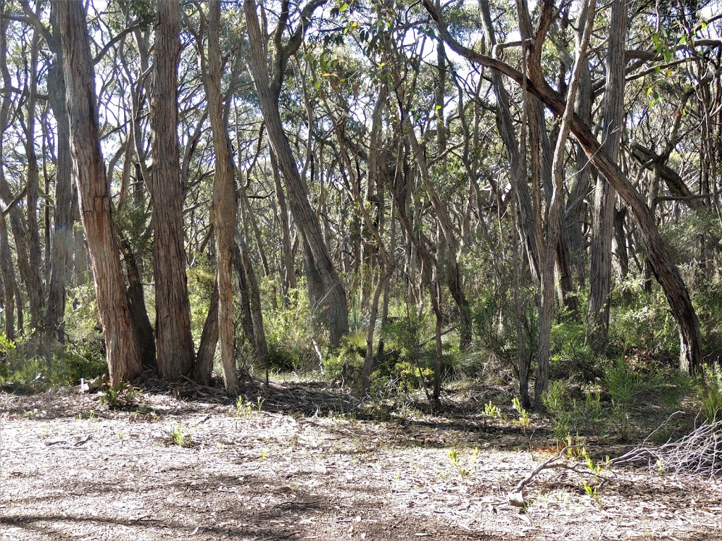 Spring Mount Conservation Park | park | Mount Alma Rd, Inman Valley SA 5211, Australia | 0882041910 OR +61 8 8204 1910