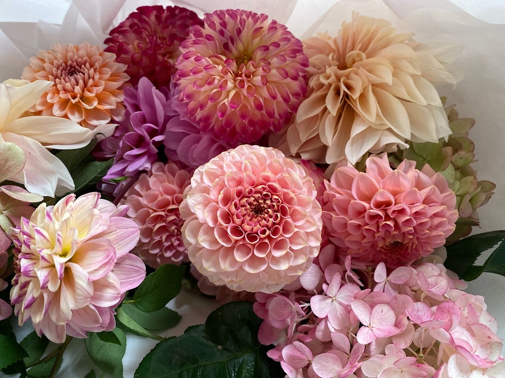 Hearty Blooms | Cargo Rd, Nashdale NSW 2800, Australia | Phone: 0483 148 429