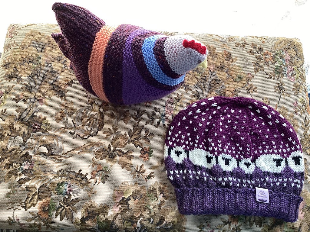 Just Chooks & Beanies | Ballarat Rd, Hamilton VIC 3300, Australia | Phone: 0439 752 574