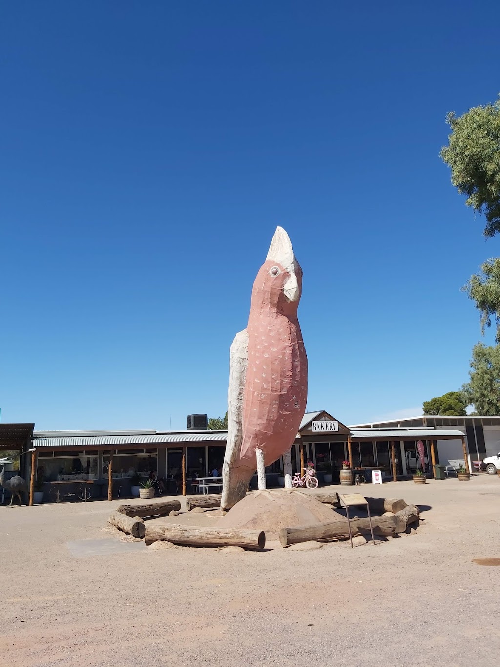 The Big Galah | tourist attraction | Eyre Hwy, Kimba SA 5641, Australia | 0886272766 OR +61 8 8627 2766