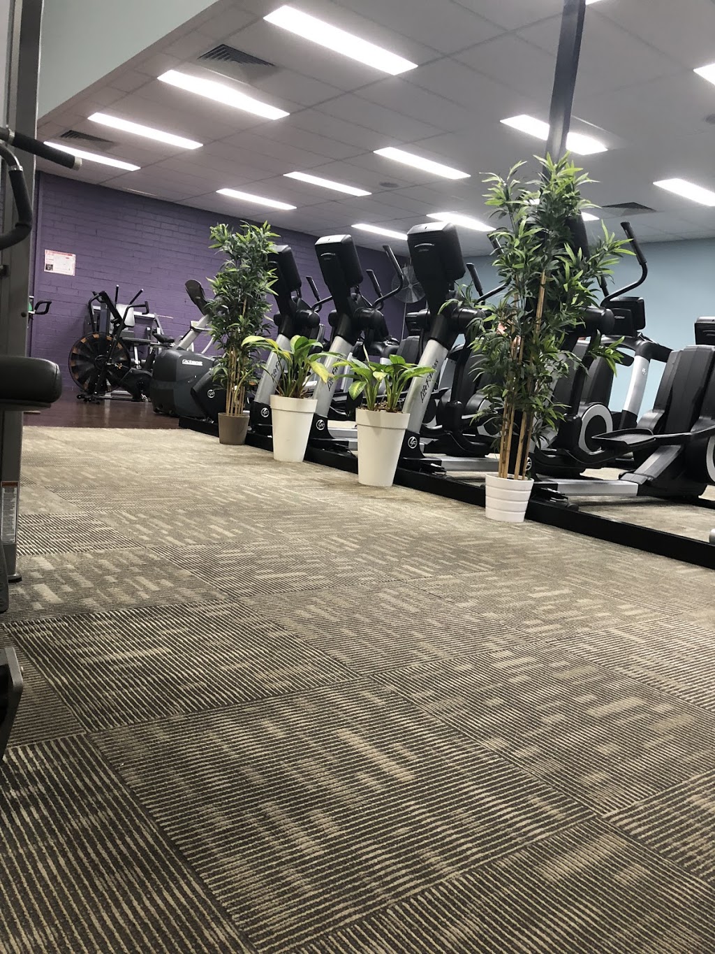 Anytime Fitness | 2/498-500 Great Western Hwy, St Marys NSW 2760, Australia | Phone: (02) 9623 3300