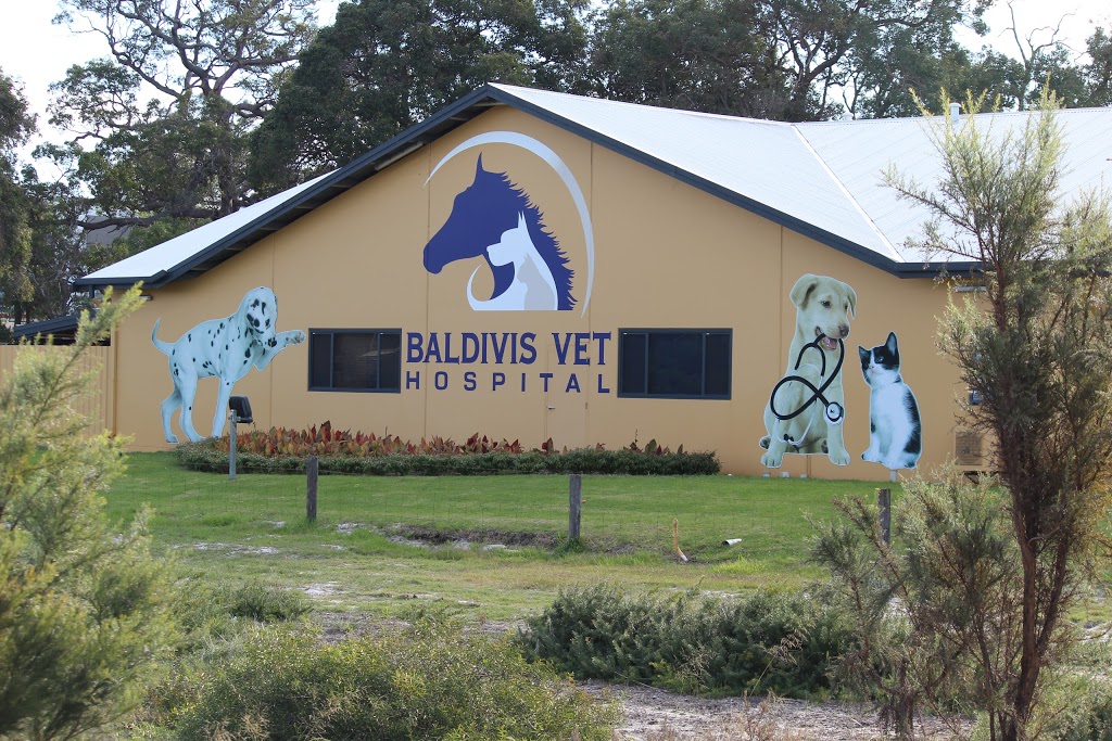 Baldivis Vet Hospital | veterinary care | 597 Baldivis Rd, Baldivis WA 6171, Australia | 0895241466 OR +61 8 9524 1466
