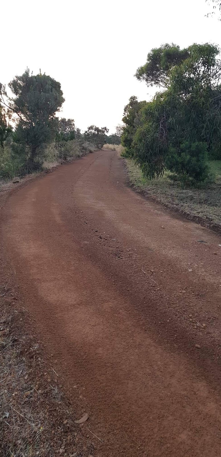 Pines Transport - Diggers & Bobcat | moving company | 56 Scovell Cres, Anketell WA 6167, Australia | 0427435815 OR +61 427 435 815