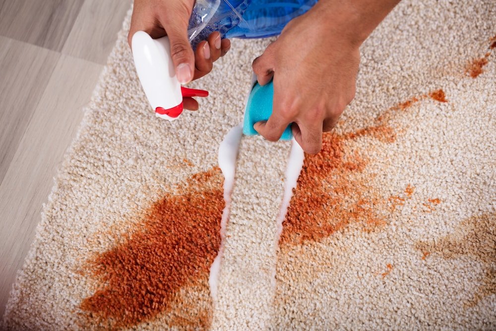 ECO Carpet Cleaning | point of interest | 21 Umbria Rd, Mernda VIC 3754, Australia | 0391190419 OR +61 3 9119 0419