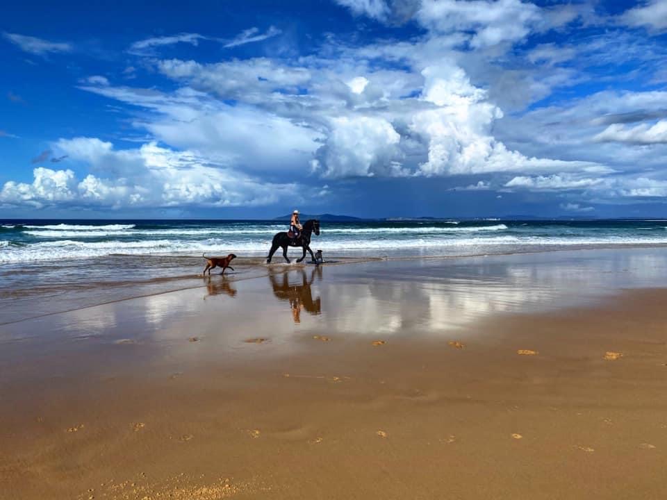 Horse Back Bush to Beach Tours | tourist attraction | Nabiac St, Nabiac NSW 2312, Australia | 0423500394 OR +61 423 500 394