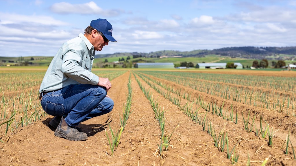 Switch Ag | 71 Glenlogan Rd, Cowra NSW 2794, Australia | Phone: 0411 156 839