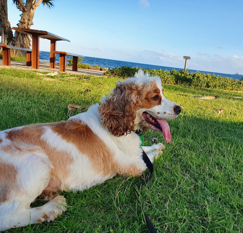 bargara dog resort | 36 Durdins Rd, Bargara QLD 4670, Australia | Phone: 0431 431 866