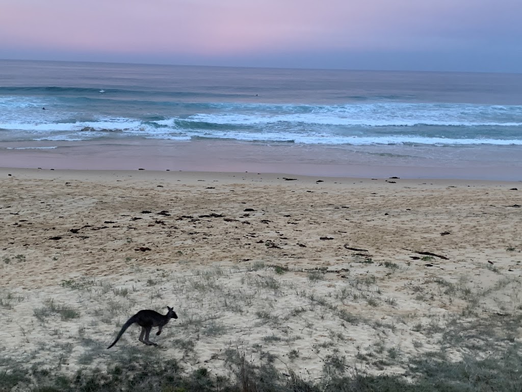 Tathra Tides Coastal Apartments | 26 Edna Dr, Tathra NSW 2550, Australia | Phone: 0416 663 144 Tathra Tides Coastal Apartments | 26 Edna Dr, Tathra NSW 2550, Australia | Phone: 0416 663 144