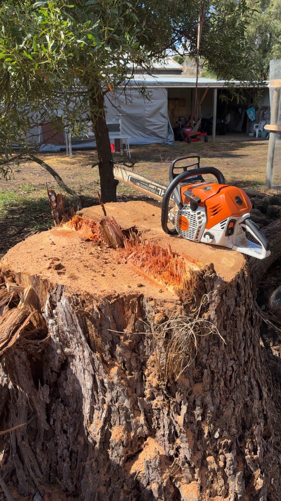 Bunyip Tree Solutions | 23 Doran Rd, Bunyip VIC 3815, Australia | Phone: 0421 286 983