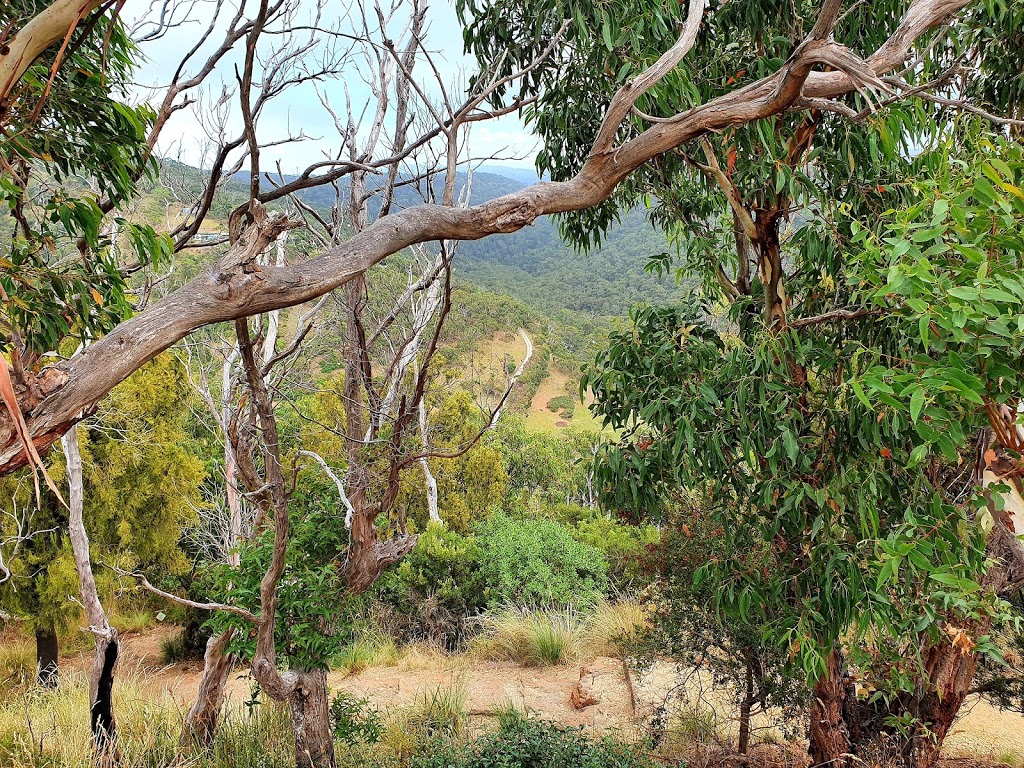 Teddys Lookout | 53 George St, Lorne VIC 3232, Australia | Phone: (03) 5261 0600