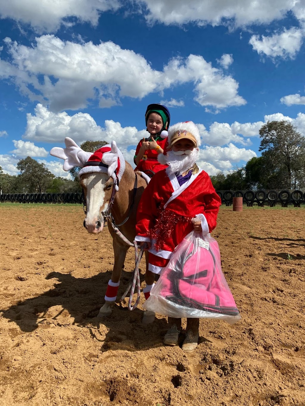 Rekcut Equine | 47 Penglase Ln, Barham NSW 2732, Australia | Phone: 0400 075 020