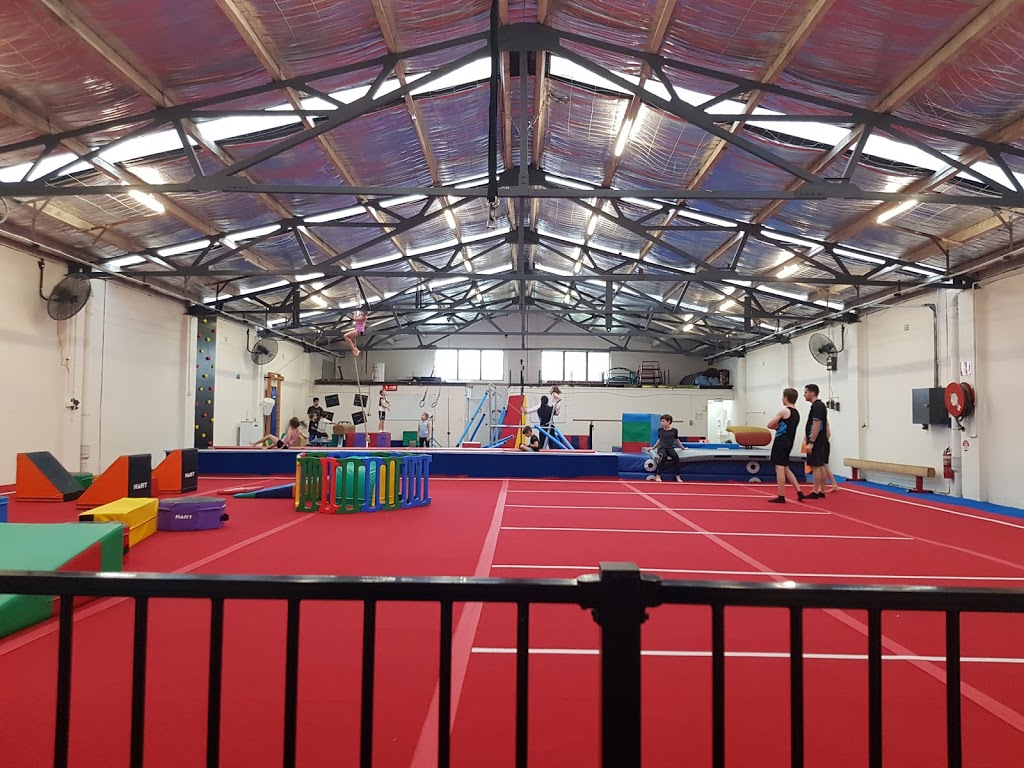 The Gymnastics Revolution |  | 8 Carlton Cres, Summer Hill NSW 2130, Australia | 0415533696 OR +61 415 533 696