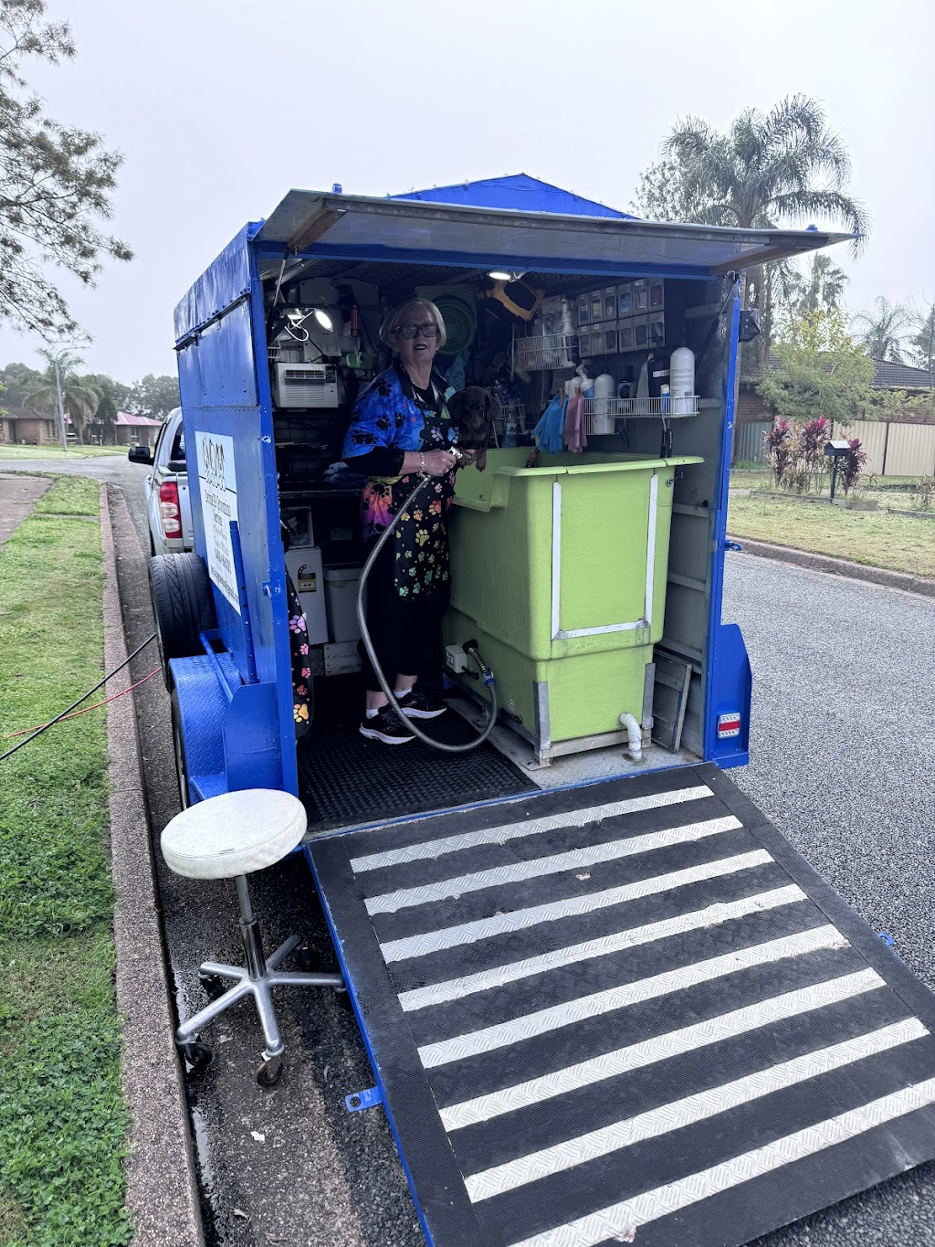 Devine K9 Grooming Service | 22 Crawford Ave, Tenambit NSW 2323, Australia | Phone: 0408 166 002