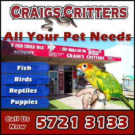 Craigs Critters | 41 Rowan St, Wangaratta VIC 3677, Australia | Phone: (03) 5721 3133