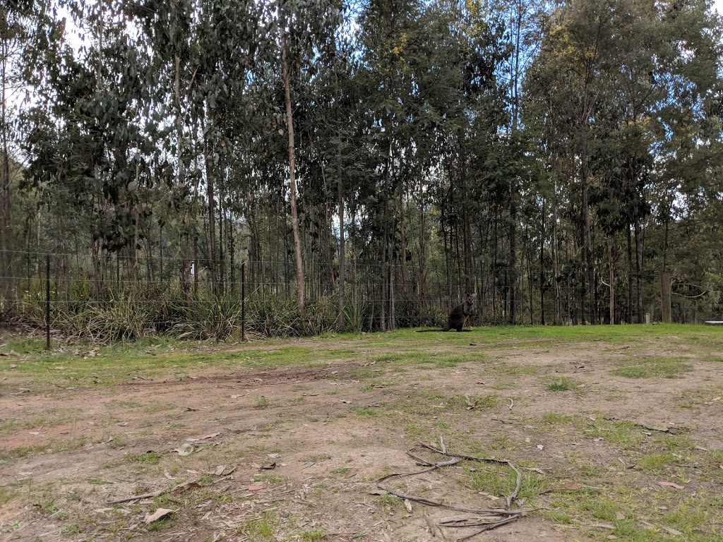 Ferns Camp | campground | Murrindindi VIC 3717, Australia