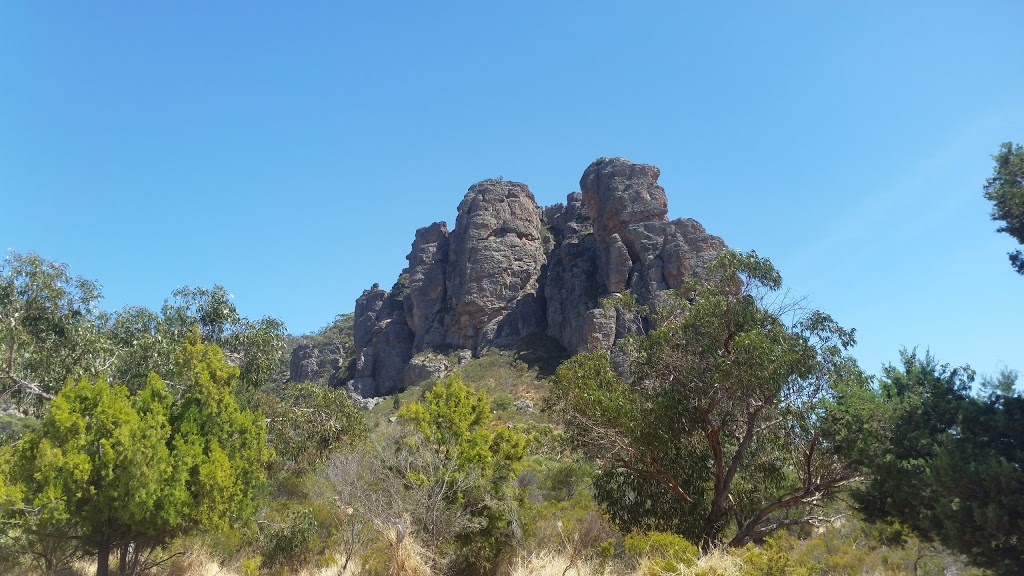 The Pines | campground | Centenary Park Rd, Arapiles VIC 3409, Australia