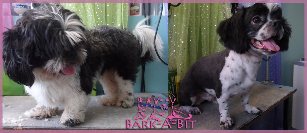 Bark-A-Bit Boarding Kennels | 252 Wellington Rd, Charters Towers City QLD 4820, Australia | Phone: (07) 4787 1679