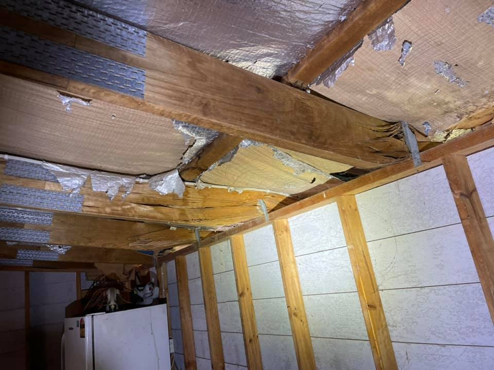 Premium Pest Control PTY LTD | 335 Fourteen Mile Rd, Garfield VIC 3810, Australia | Phone: 0401 284 889