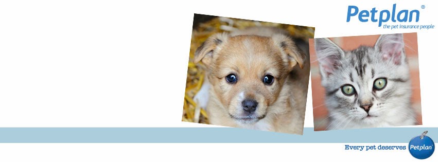 Petplan | 1/3 Smolic Ct, Tullamarine VIC 3043, Australia | Phone: 1300 738 225