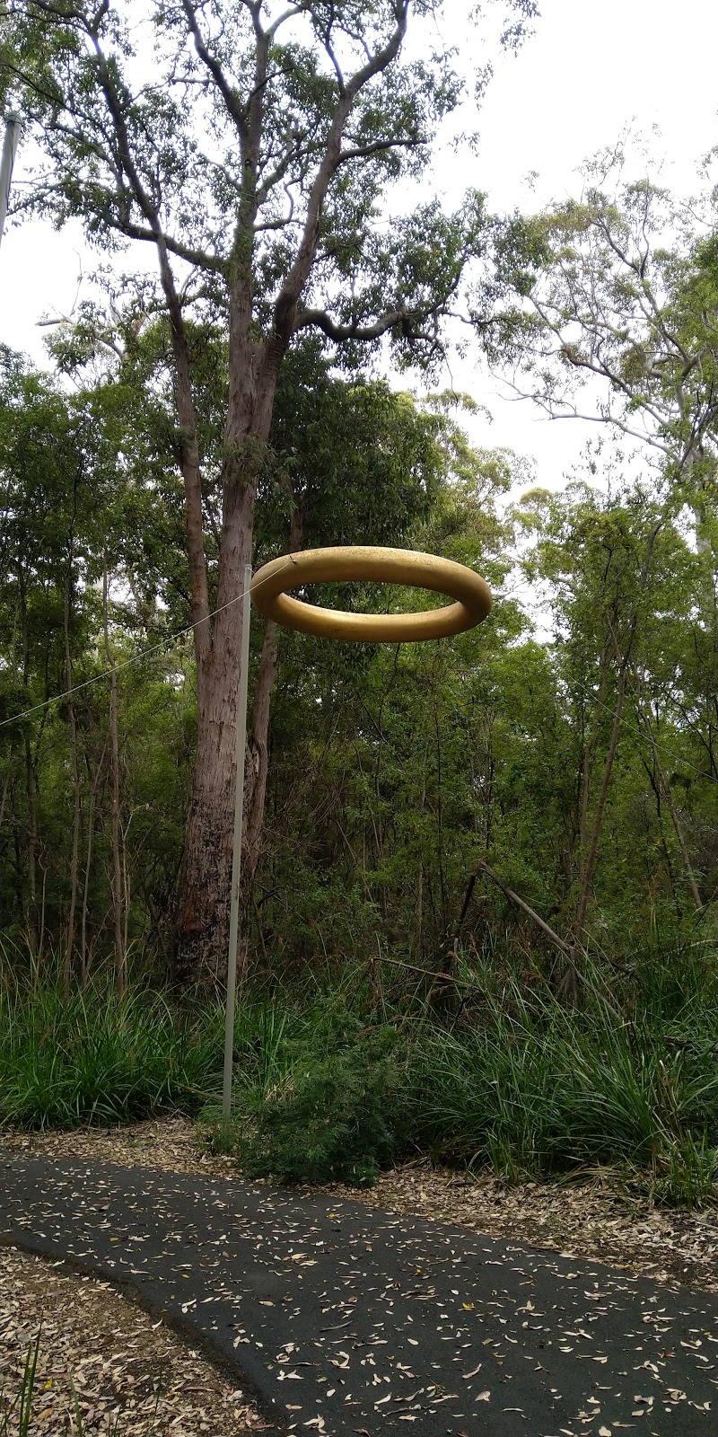 Swarbrick Art Loop | Logging Rd, North Walpole WA 6398, Australia
