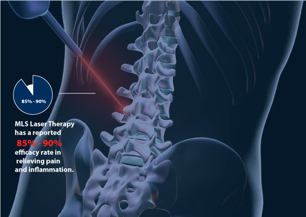 Leens Therapy | 276 Roma Downs Rd, Roma QLD 4455, Australia | Phone: 0466 002 167