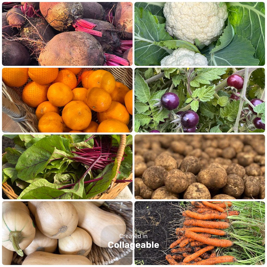 Arteka Farming | 65A Kannenbergs Rd, Hamilton VIC 3300, Australia | Phone: 0459 485 776 Arteka Farming | 65A Kannenbergs Rd, Hamilton VIC 3300, Australia | Phone: 0459 485 776