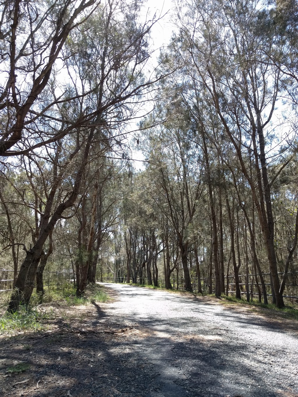 Tinchi Tamba Reserve Wetlands | Griffin QLD 4503, Australia