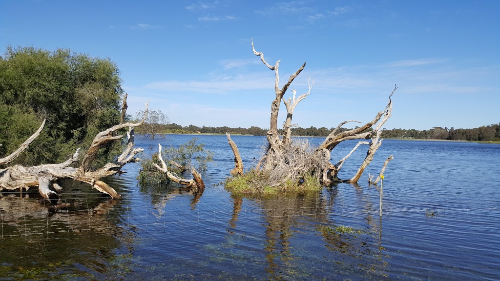 Carine Regional Open Space | park | Cnr Beach Rd &, Okely Rd, Carine WA 6020, Australia | 0892058555 OR +61 8 9205 8555