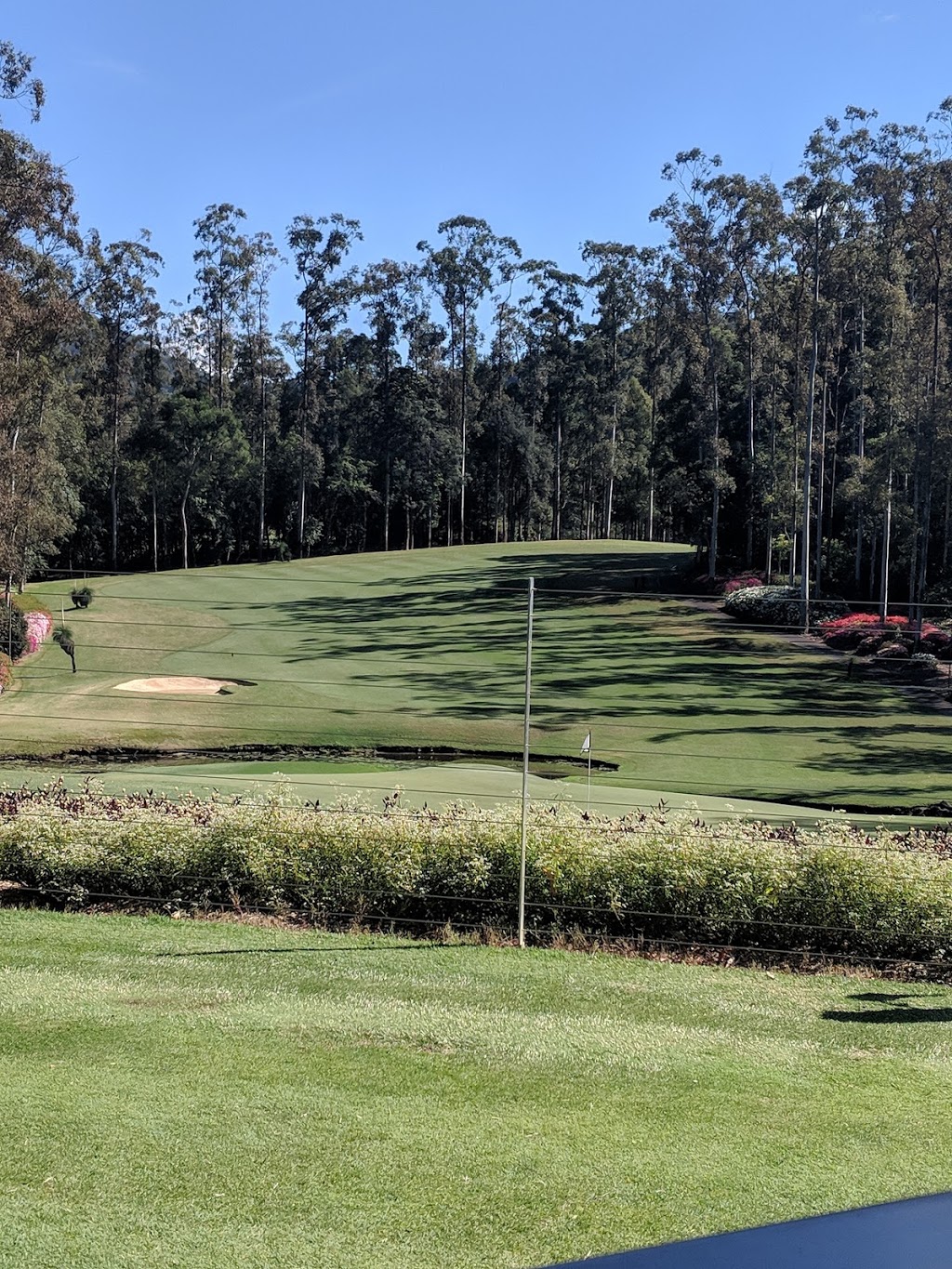 Flooded Gums | North Bonville Rd, Barraganyatti NSW 2450, Australia | Phone: 1300 722 444