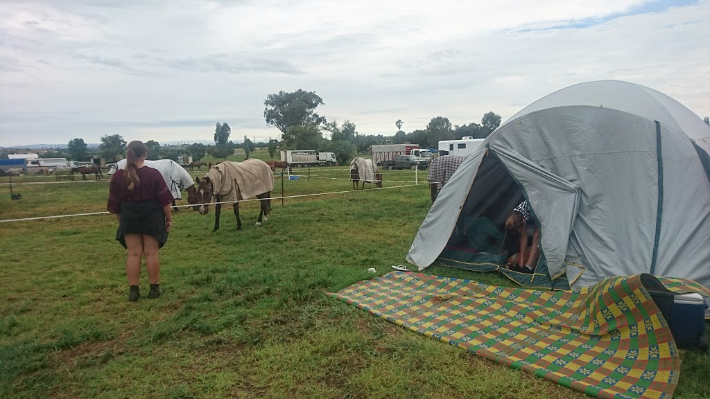 Australian Bushmens Campdraft & Rodeo Association LTD | 539-557 Goonoo Goonoo Rd, Tamworth NSW 2340, Australia | Phone: (02) 6767 9200