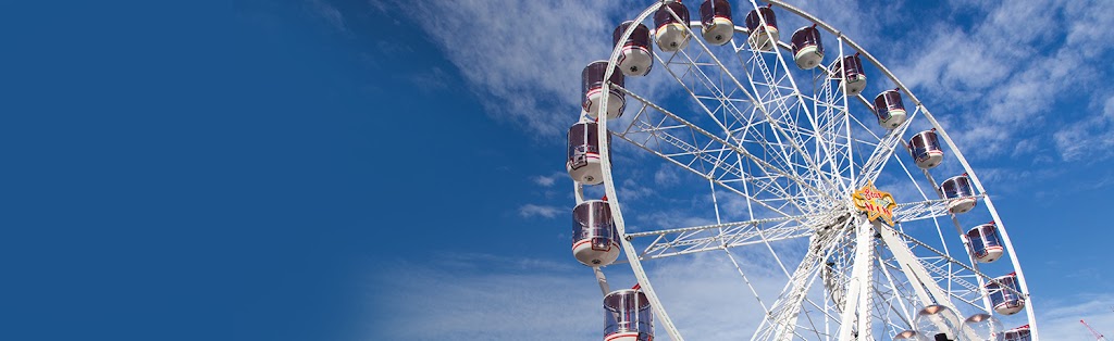 Ride Hire | 239 Flesser Rd, Chambers Flat QLD 4133, Australia | Phone: 0421 164 816