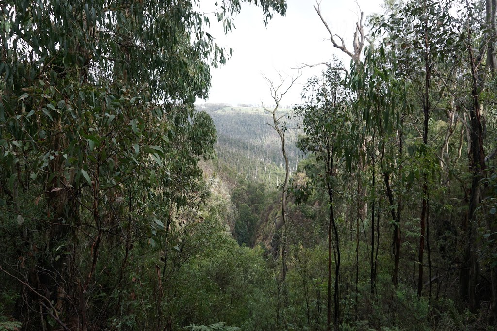 Masons Falls Observation Platform | Kinglake West VIC 3757, Australia | Phone: 13 19 63