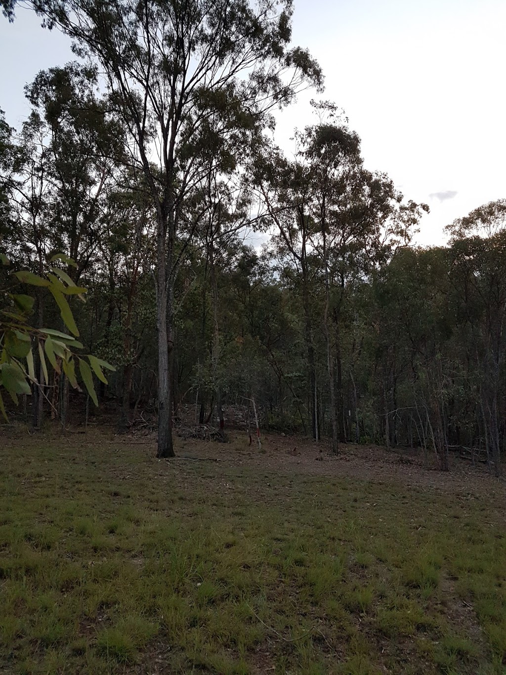 Skullies Mountain Nature Reserve | 74 Boyle Rd, Moogerah QLD 4309, Australia | Phone: 0407 001 590