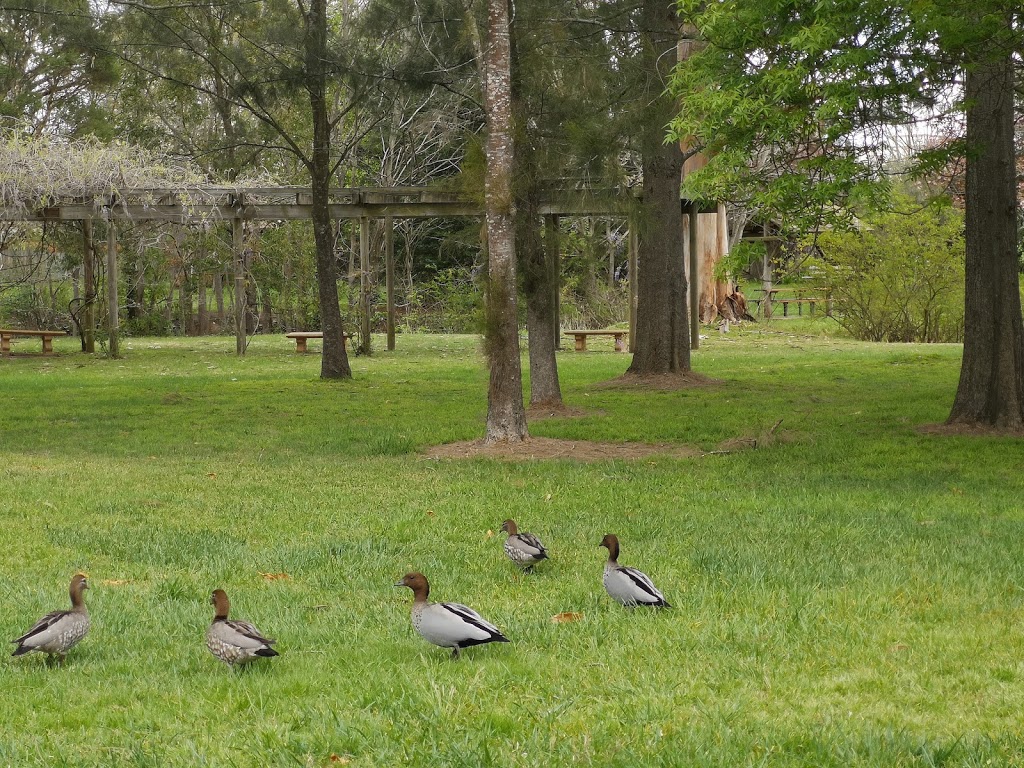 Cherry Tree Walk | Unnamed Road, Bowral NSW 2576, Australia