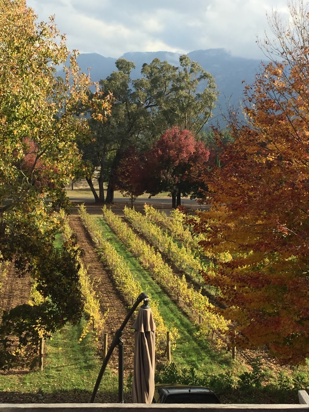 Feathertop Winery | 6619 Great Alpine Rd, Porepunkah VIC 3740, Australia | Phone: (03) 5756 2356